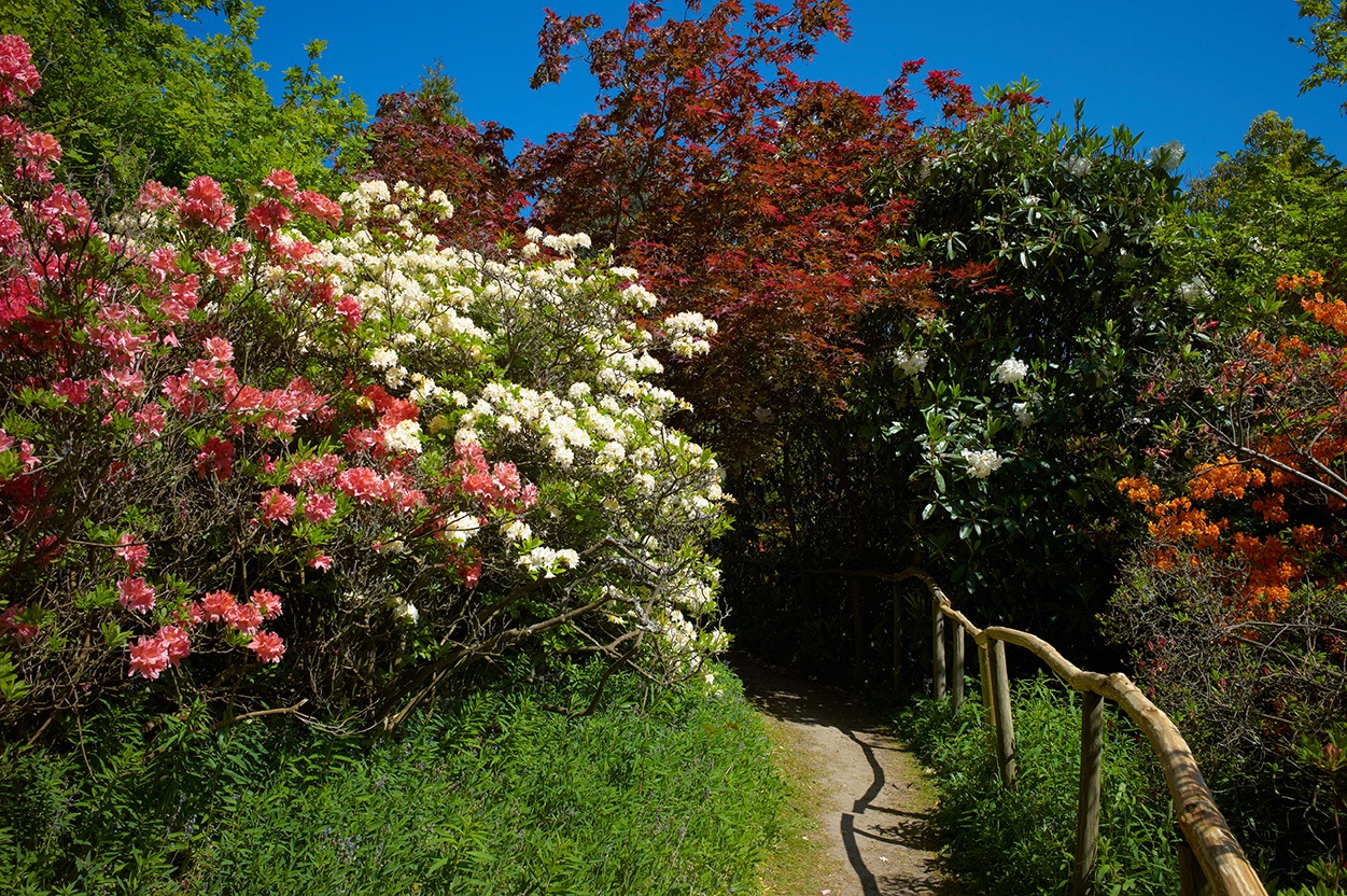 2012 12 21 14.39.52 2