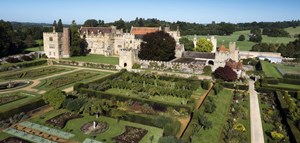 Aerial View Two