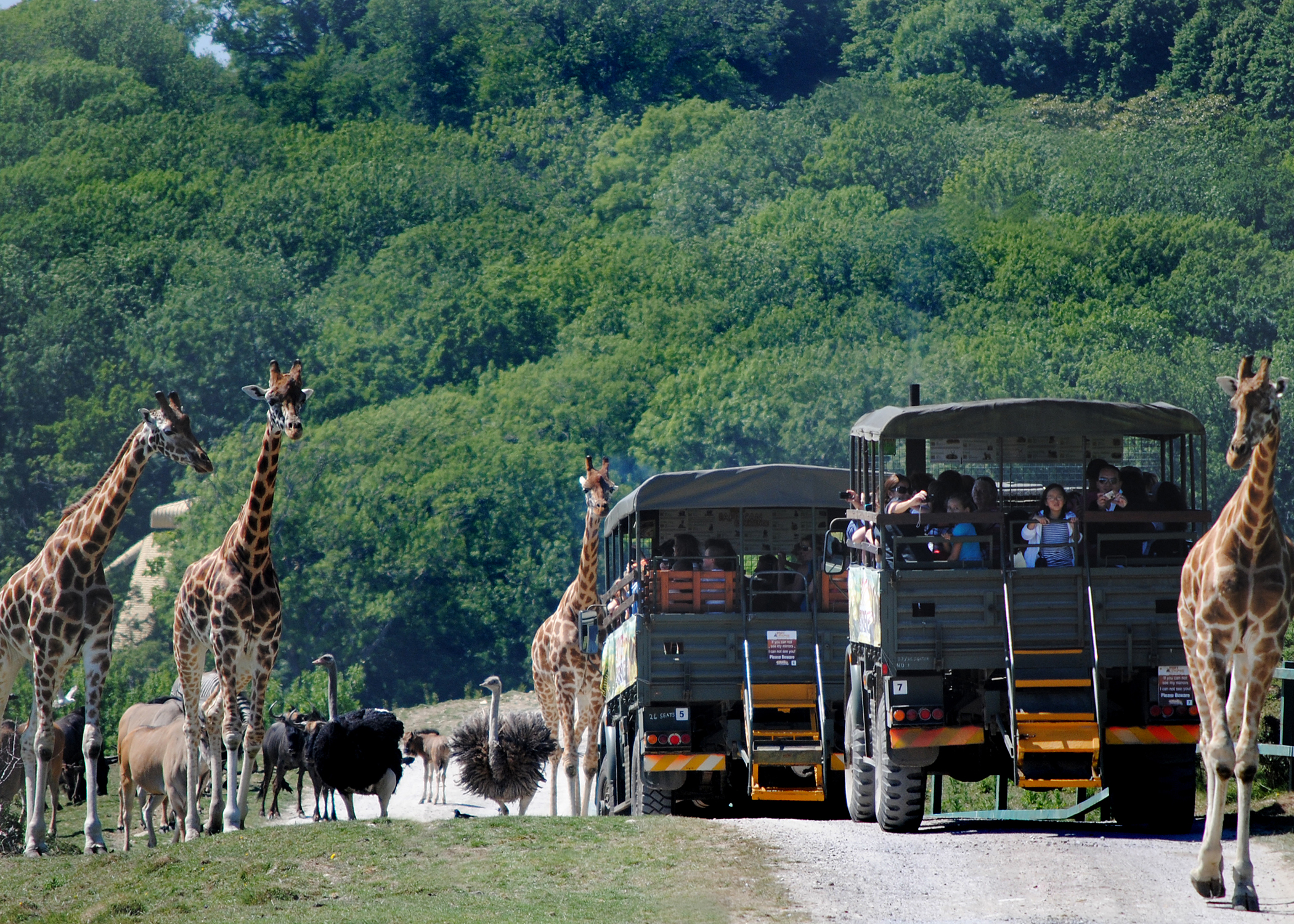 African Experience Port Lympne