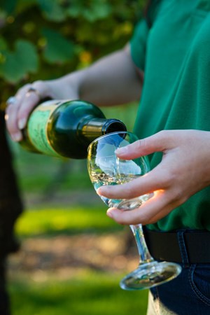 4 Biddenden Vineyards Ortega Tasting