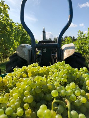 Tractor Bringing Ortega In 2018