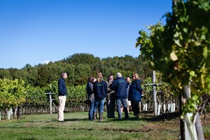 Biddenden Vineyard Guided Tours