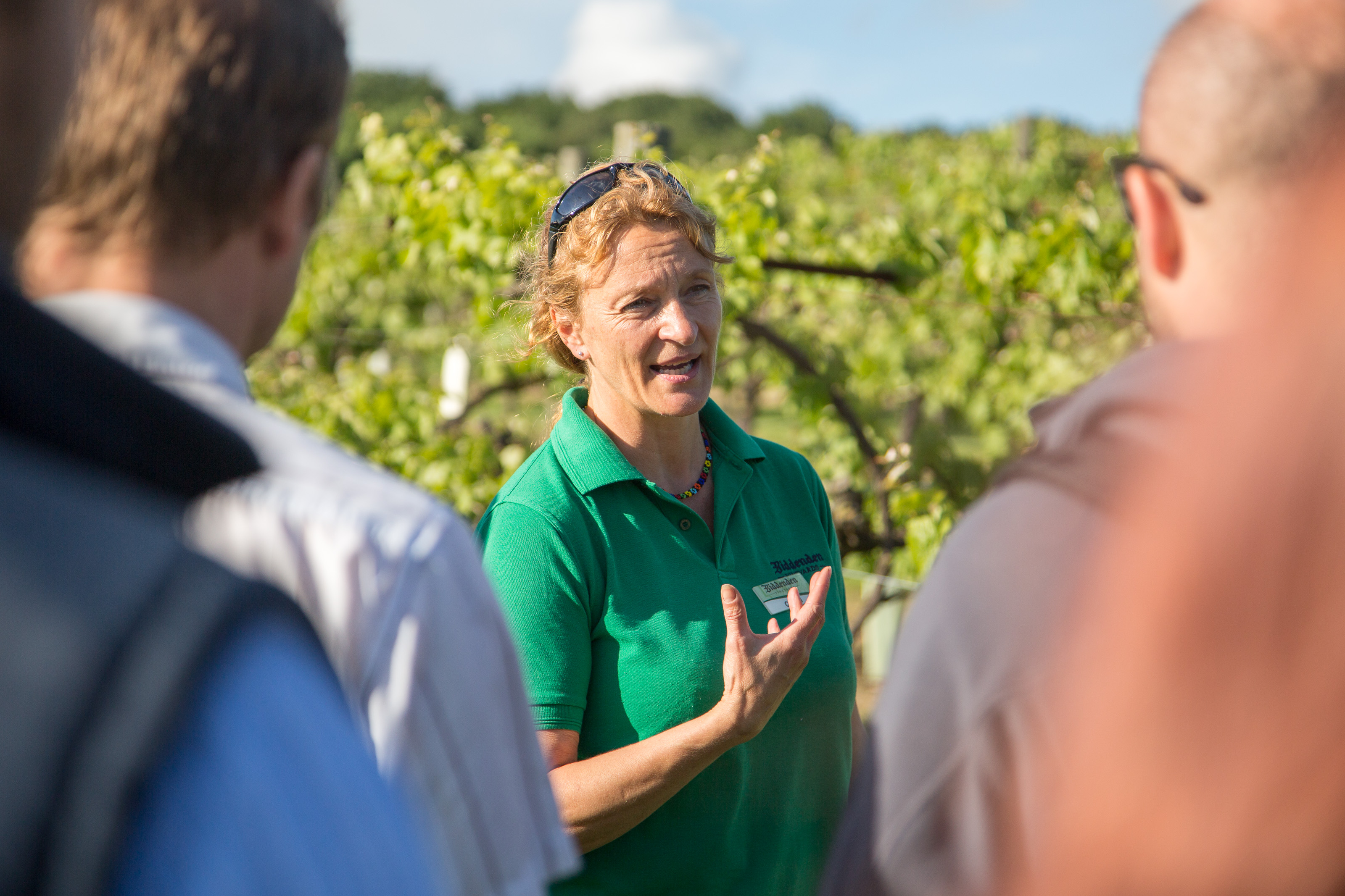 Biddenden Vineyards Guided Tour