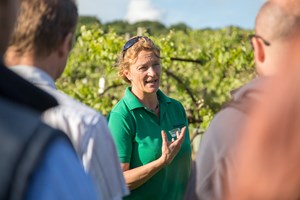 Biddenden Vineyards Guided Tour