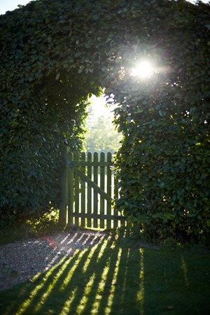 Img 9736Chapeldown Herb Garden Gate