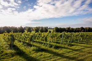 Harvest 2016 008 1789