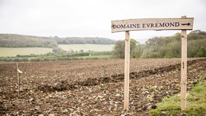 Domaine Evremond Taittinger 061 0083