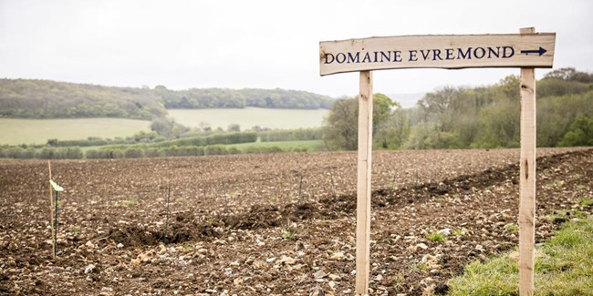 Domaine Evremond Taittinger 061 0083