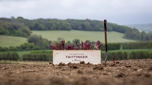 Domaine Evremond Taittinger 013 3020