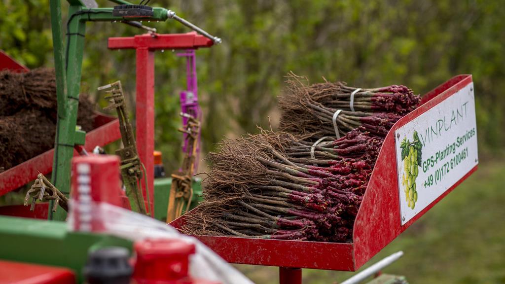 Domaine Evremond Taittinger 182 3171