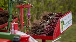 Domaine Evremond Taittinger 182 3171