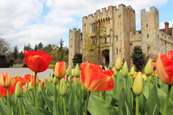 Hever Castle